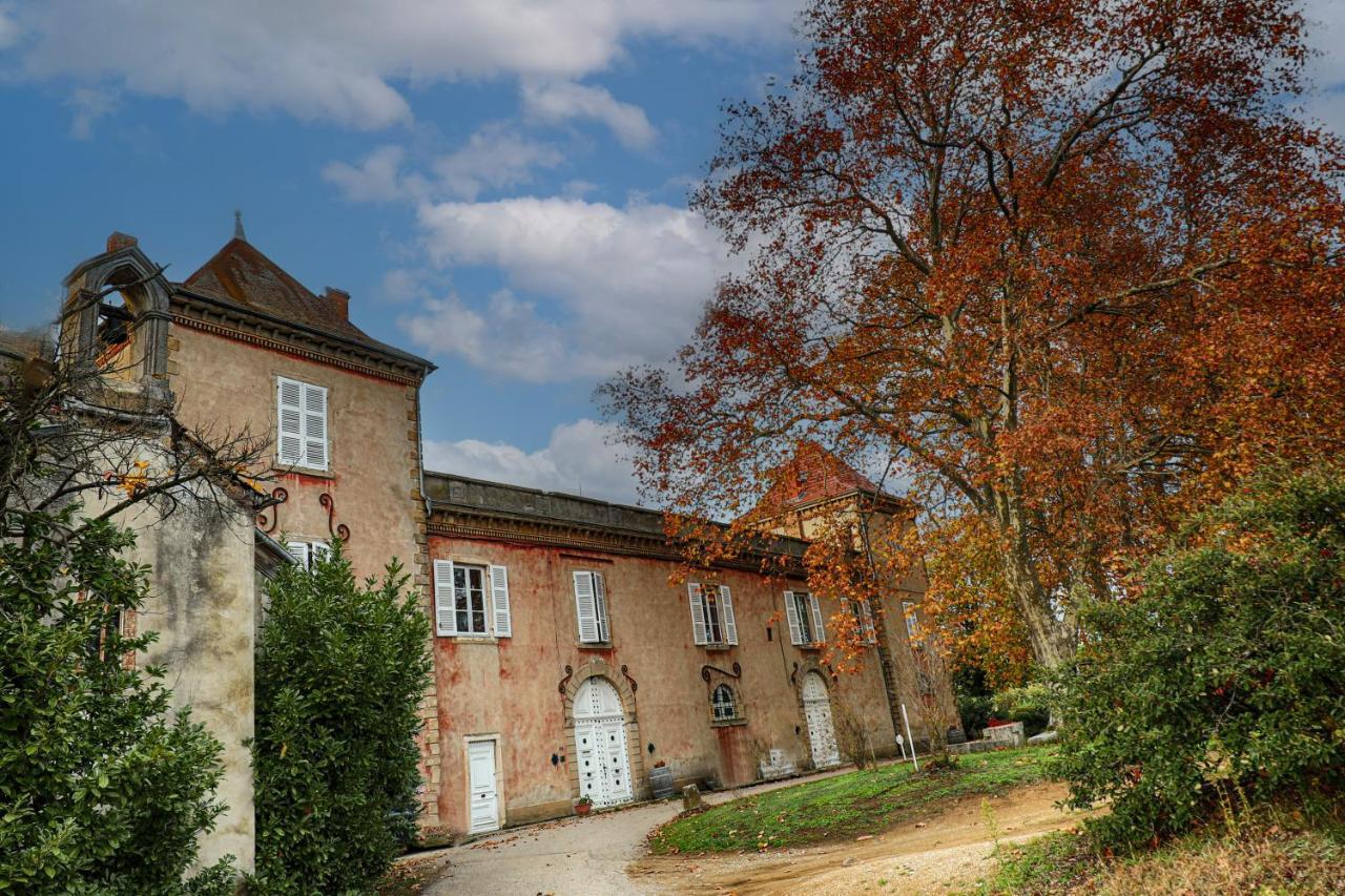 CONDRIEU T3 Climatisé 2ème étage Condrieu Exterior foto